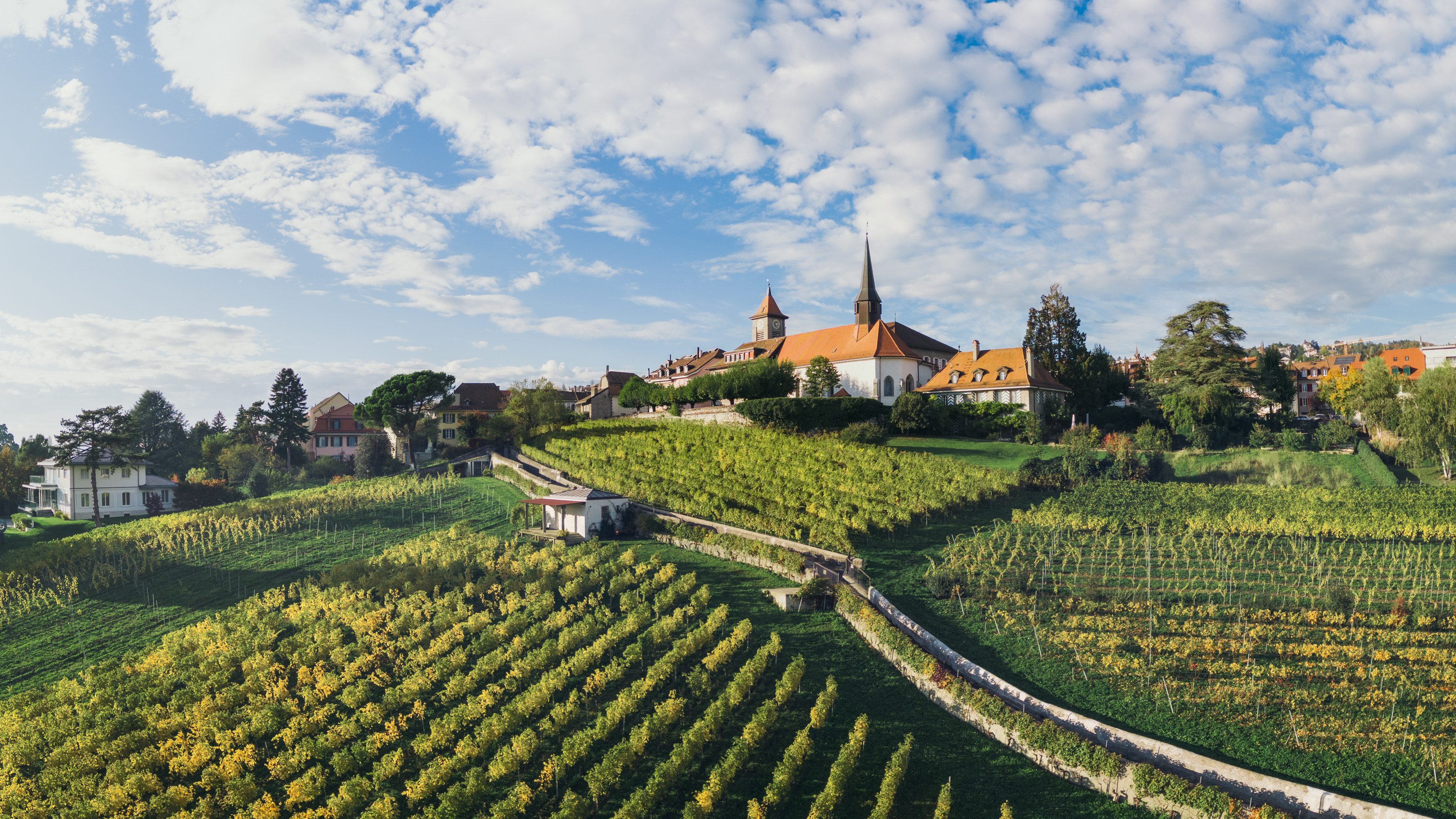 Pully Cave Vignes 0011